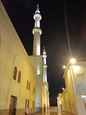 by kiwiaoraki, Views[36]