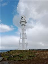 by kiwiaoraki, Views[145]