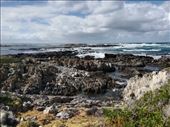 by kiwiaoraki, Views[209]
