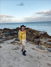 by kiwiaoraki, Views[148]