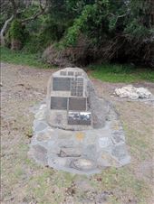 by kiwiaoraki, Views[30]