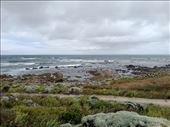 by kiwiaoraki, Views[67]