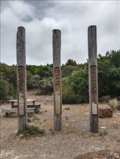 by kiwiaoraki, Views[41]