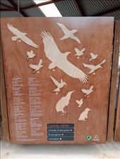 by kiwiaoraki, Views[41]