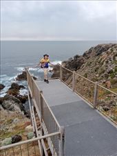 by kiwiaoraki, Views[223]