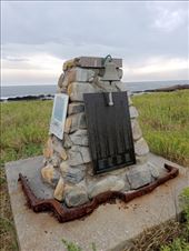 by kiwiaoraki, Views[67]