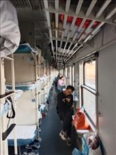 by kiwiaoraki, Views[159]