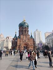 by kiwiaoraki, Views[164]