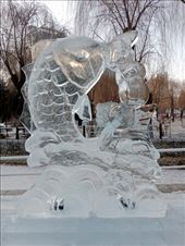 by kiwiaoraki, Views[39]