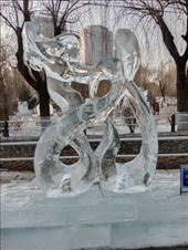 by kiwiaoraki, Views[91]