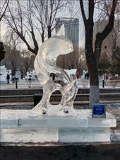 by kiwiaoraki, Views[54]