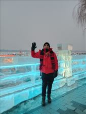 by kiwiaoraki, Views[55]