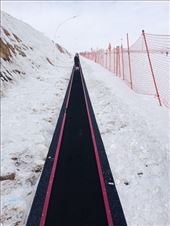 by kiwiaoraki, Views[41]