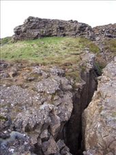 by kiwiaoraki, Views[200]