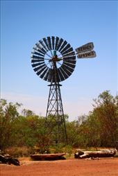 by kiwiaoraki, Views[399]