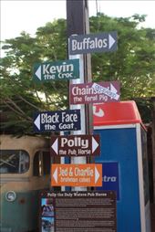 by kiwiaoraki, Views[88]