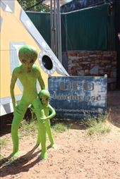 by kiwiaoraki, Views[171]