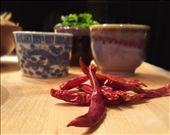 Do not underestimate the power of red chilis. Proceed with caution.: by klabbate, Views[254]