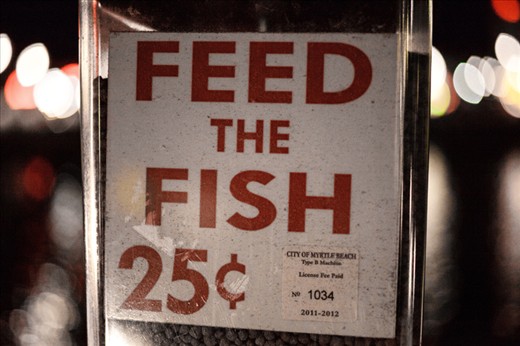 only 25 cents for watching fish MMA