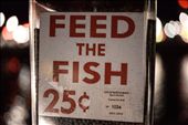 only 25 cents for watching fish MMA: by klauslundi, Views[302]