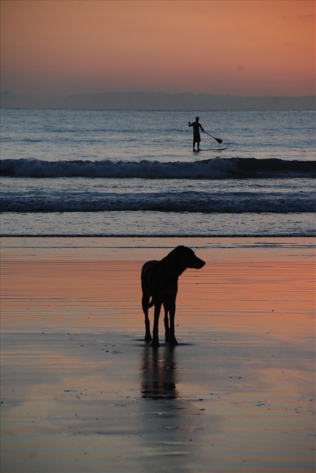 5)	Time to immerse in the last colors of the day