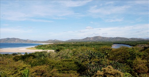  1)	Where forest touches the ocean in the Northern Pacific coast of Costa Rica