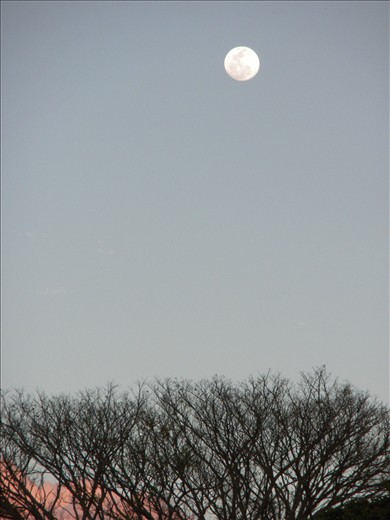 2)	A full moon is prepared to take the place of the sun