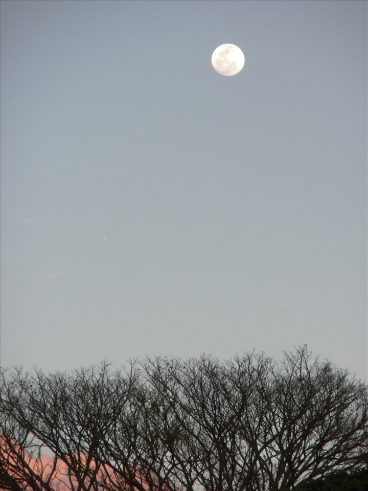 2)	A full moon is prepared to take the place of the sun