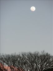2)	A full moon is prepared to take the place of the sun: by kma, Views[315]