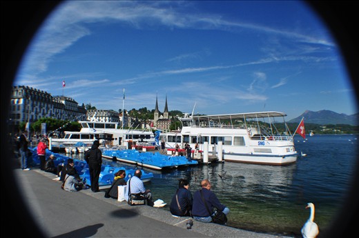 Different people have different perspectives in life. The same with animals. The