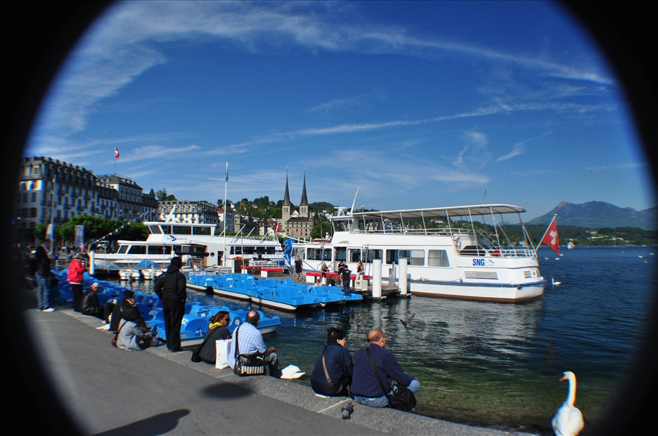 Different people have different perspectives in life. The same with animals. The