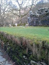 Righ Fearta (burial place of the kings). Where I spread some of my dads ashes in Glendalough Wickow: by kmontana75, Views[218]
