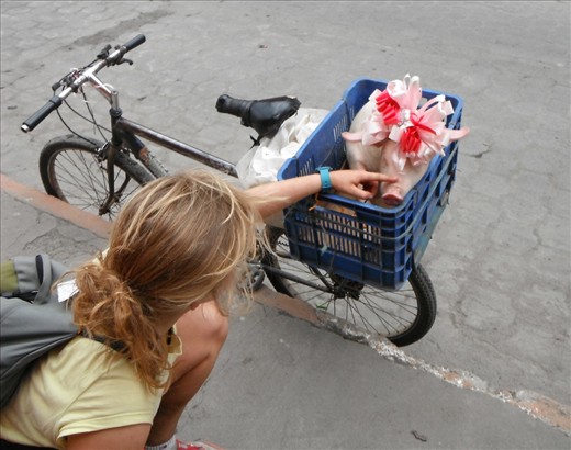 A festive-looking pig waits patiently for its owner on the streets of Moyogalpa, Isla de Ometepe. 