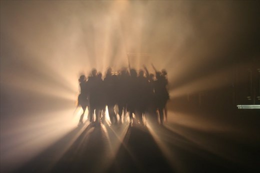 Night life, when the real animals come out! Somewhere in the world.