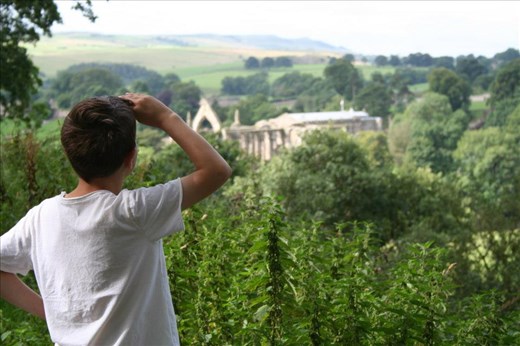 Looking Back.  Yorkshire. UK
