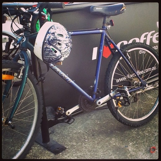 My best semi inanimate Aussie, friend. Has escorted me everywhere. 