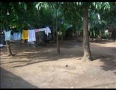 It’s all green at another section of the town. : by kogabi, Views[193]