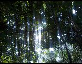 I call this picture the capture of hope for Nuaso.: by kogabi, Views[275]