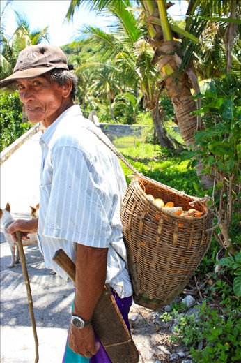 Territorial - a fisherman and his dog secures his coconut trees from Taiwanese