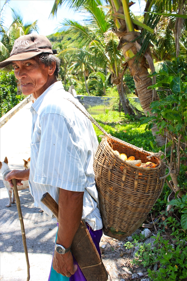 Territorial - a fisherman and his dog secures his coconut trees from Taiwanese