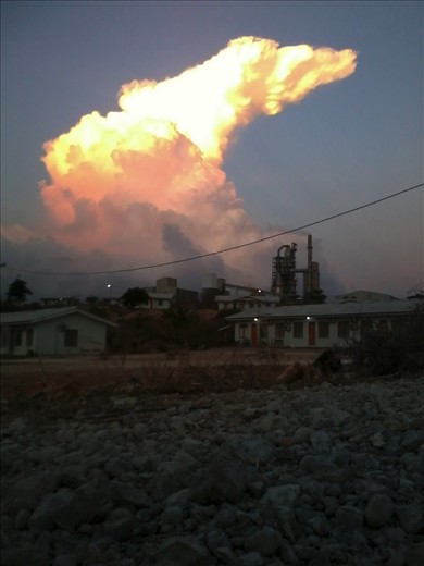 Komodo Dragon in Sky of Kupang, Indonesia