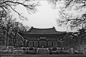 One of the temples in the Sudoek temple complex, in early morning mist.: by korea_scholarship_entry, Views[865]