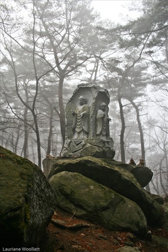 A Buddha statue emerging from Wintery mist near Sudoek Temple.