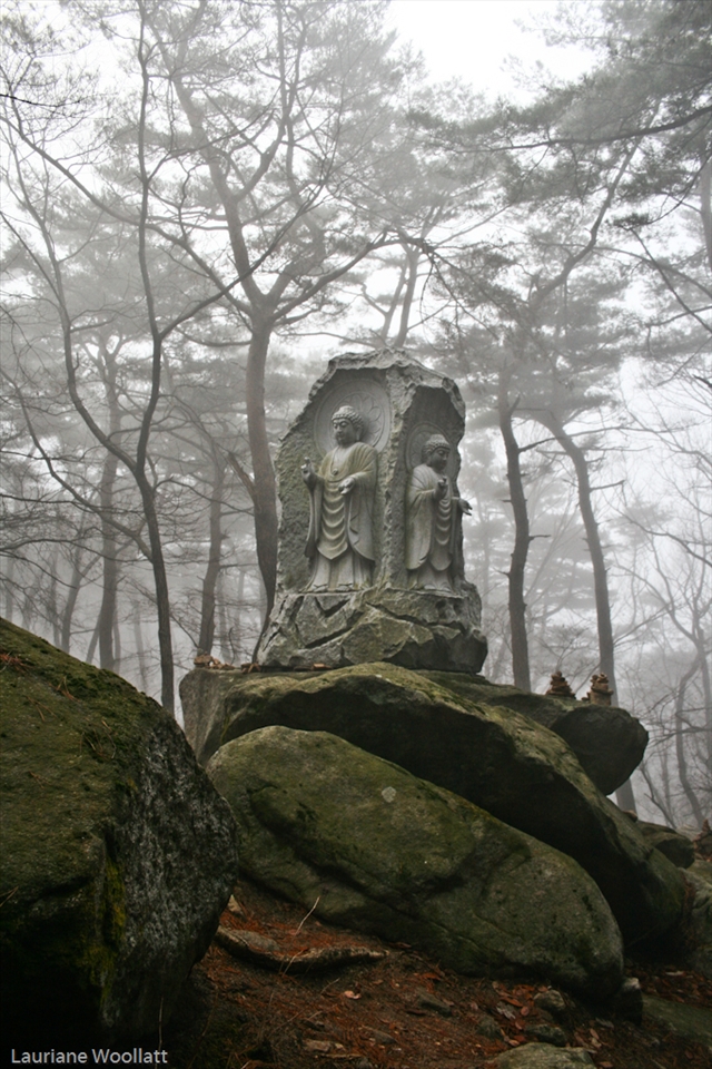 A Buddha statue emerging from Wintery mist near Sudoek Temple.