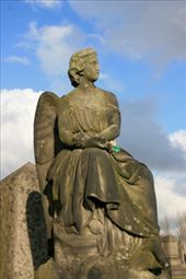 by korric, Views[212]