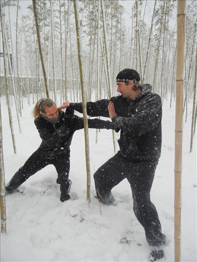 Bamboo Forest, Round One - Fight!