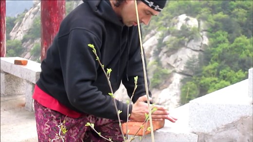 Preparing to break either the brick or my hand.