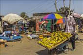 banana seller pushing around his cart in the market in Serrekunda, The Gambia: by koyaanisqatsi, Views[509]
