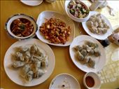 My first meal in China- dumplings, dumplings and more dumplings! Aaaand salad and a couple other delicious dishes I may never know the names of.: by kpow, Views[214]