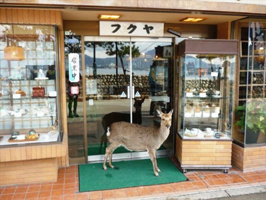Entry fee accepted in the form of deer crackers